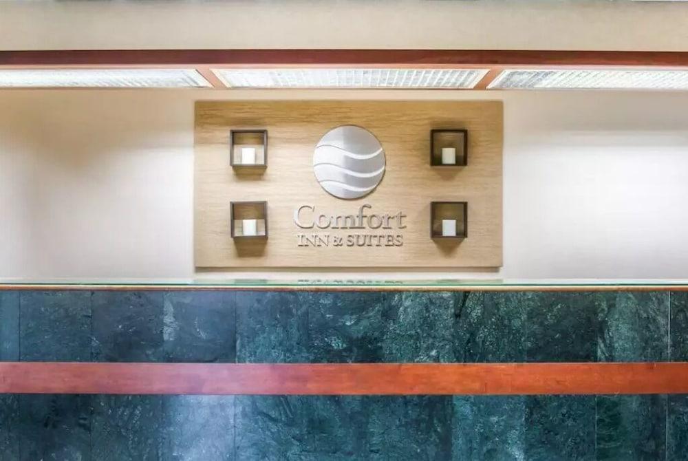 Comfort Inn & Suites Maumee - Toledo I80-90 Εξωτερικό φωτογραφία