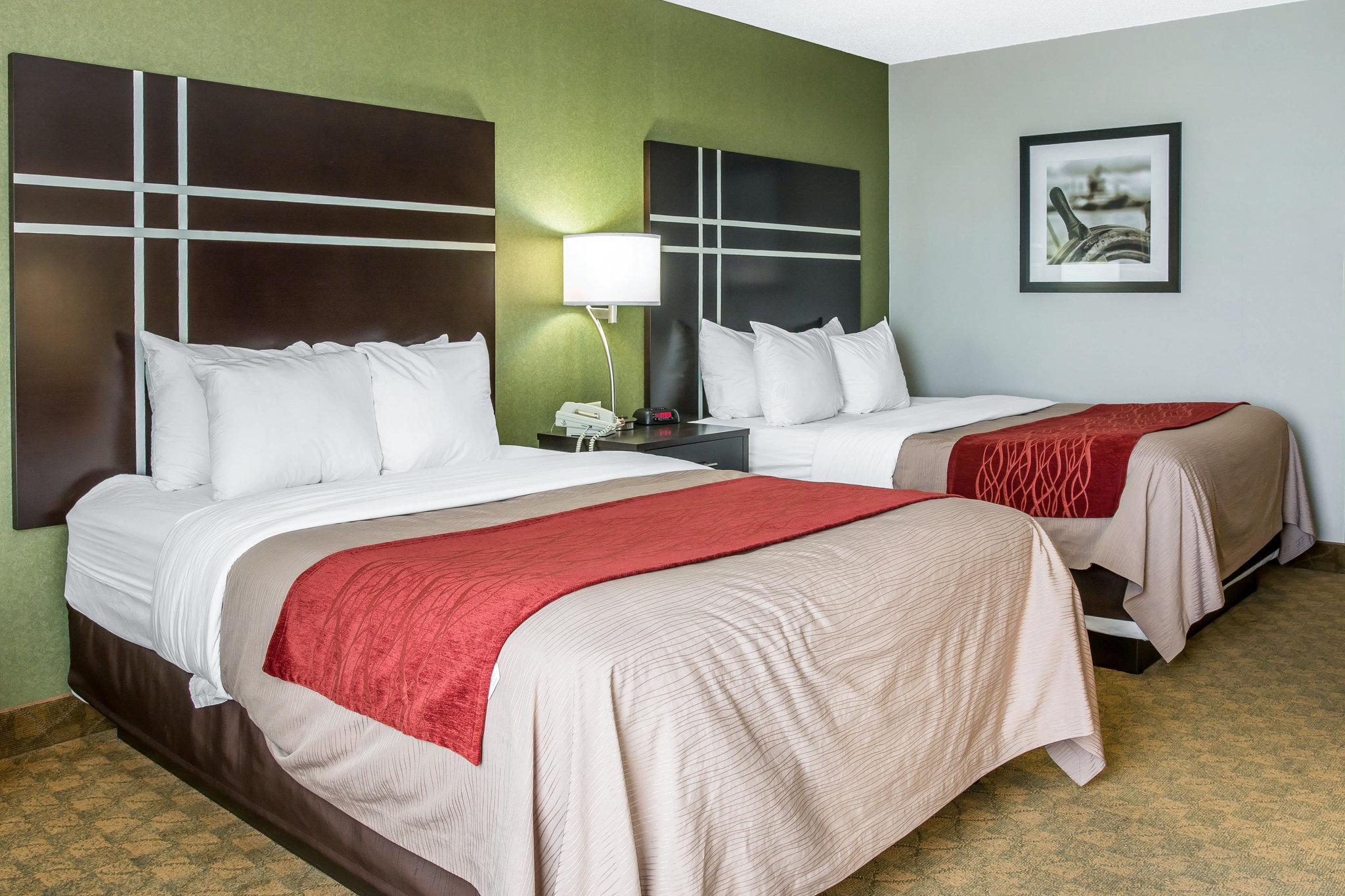 Comfort Inn & Suites Maumee - Toledo I80-90 Εξωτερικό φωτογραφία